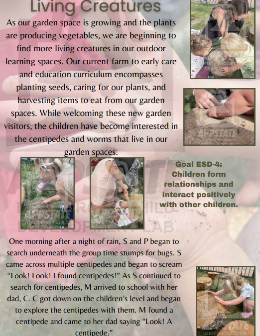 Discovering Living Creatures