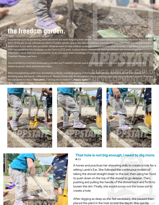 The Freedom Garden